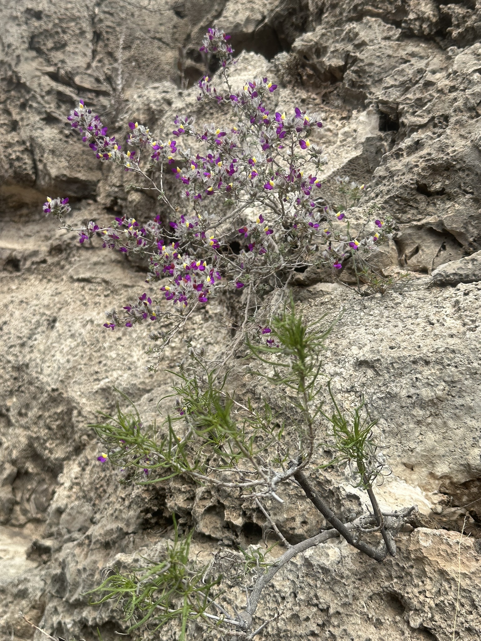 United States-National Parks-Other - Image 2969